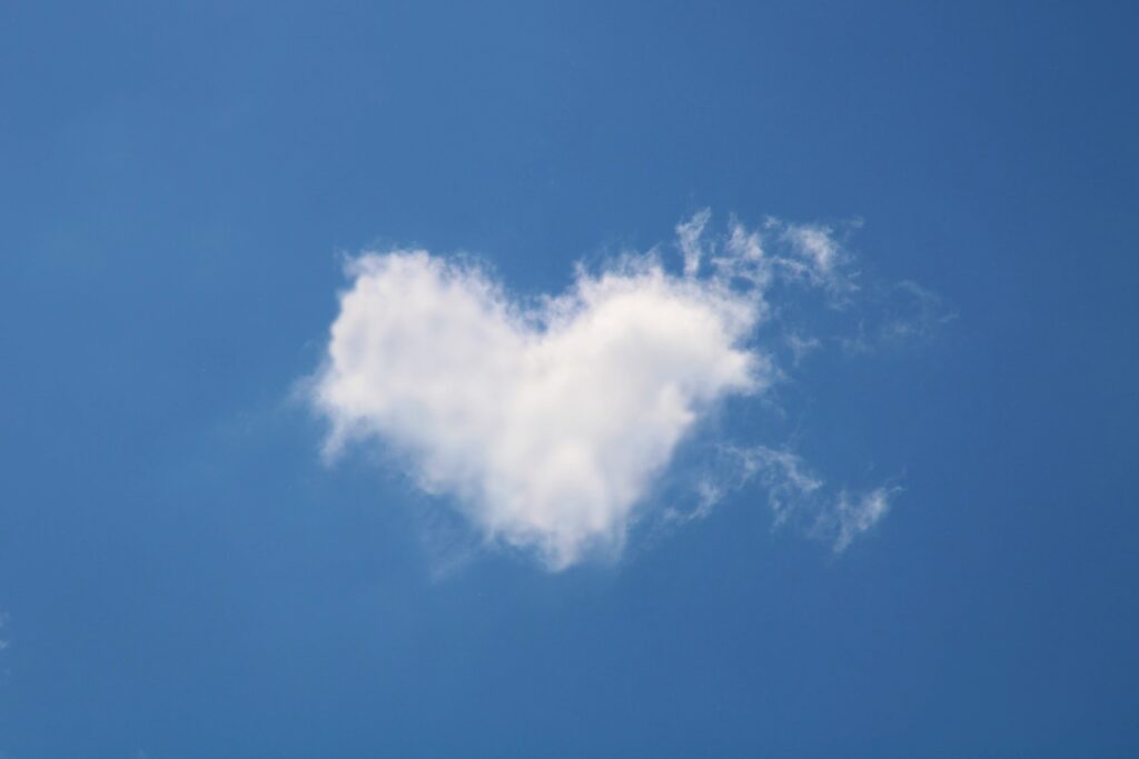 Heart