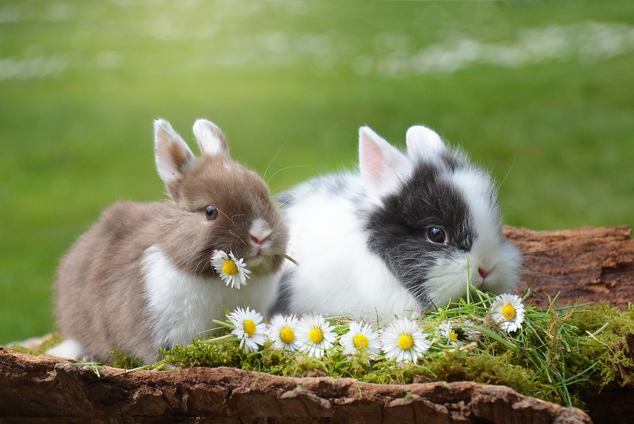 Happy Easter