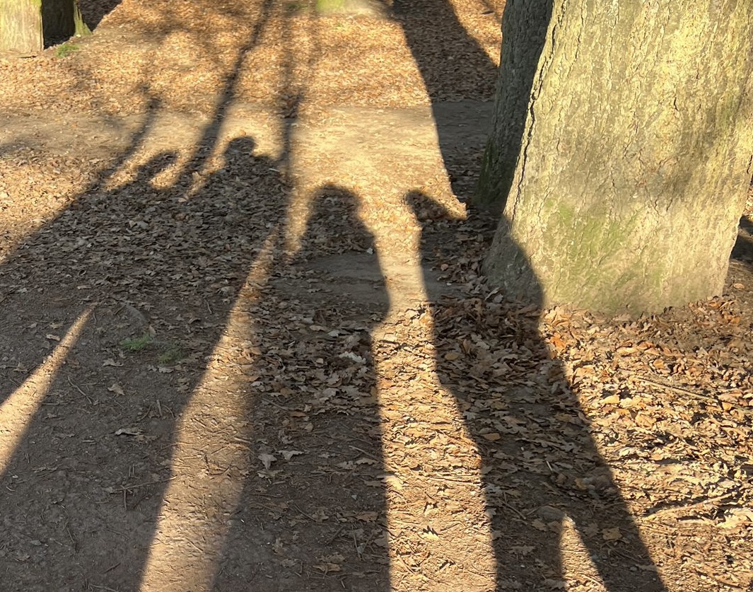 b70d1862 56da 4dc2 9cfc f2cfa89edecd 300x236 1