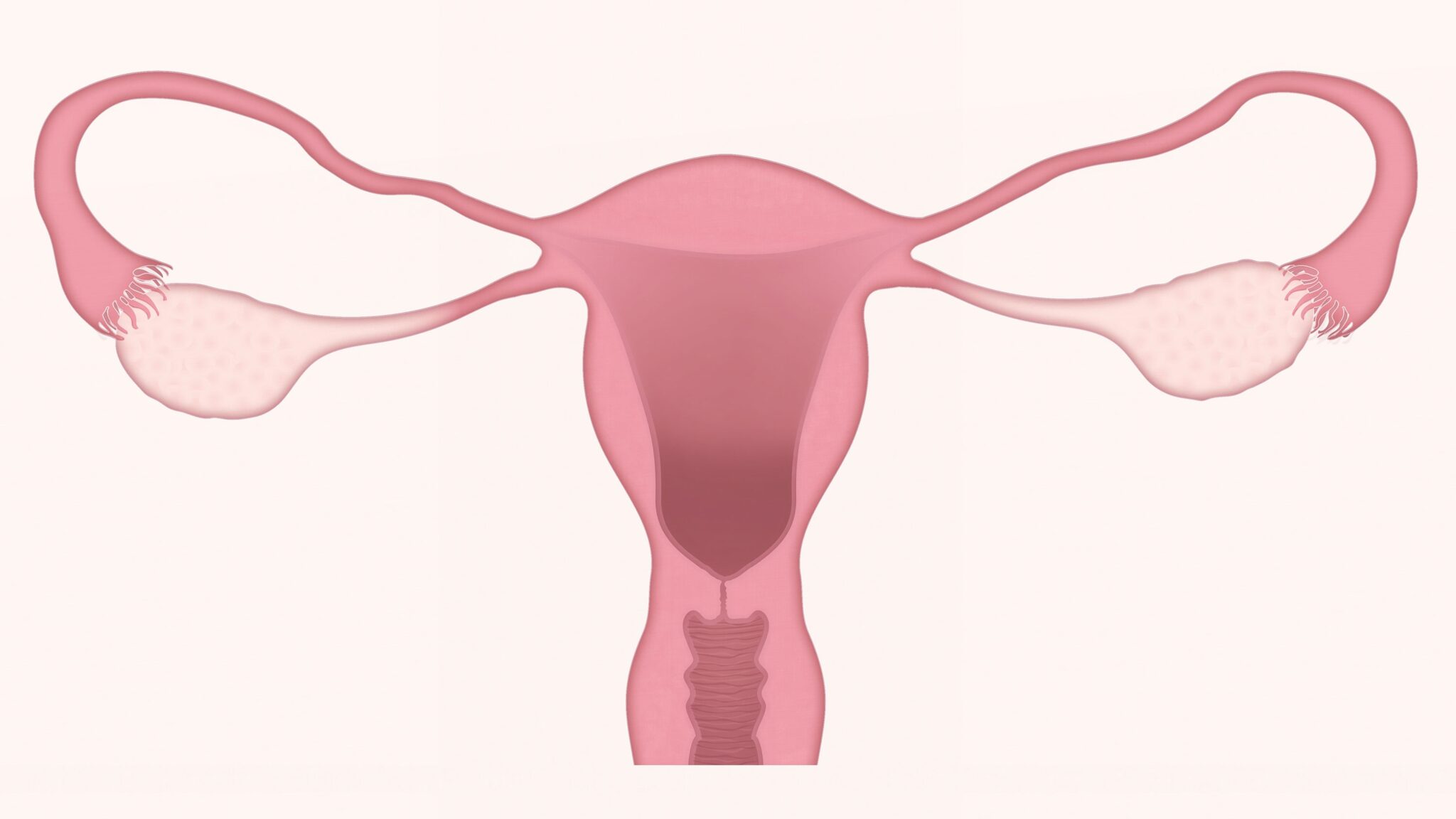 Menopause